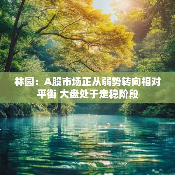 2025年3月13日 第6页