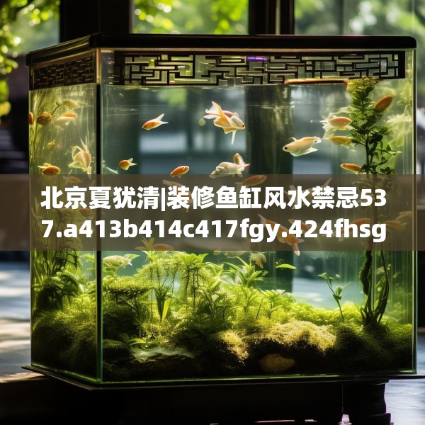 北京夏犹清|装修鱼缸风水禁忌537.a413b414c417fgy.424fhsg