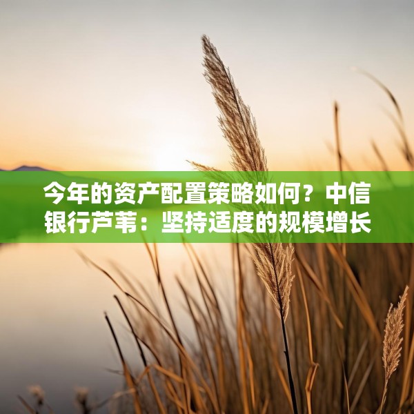 今年的资产配置策略如何？中信银行芦苇：坚持适度的规模增长，重在优化结构