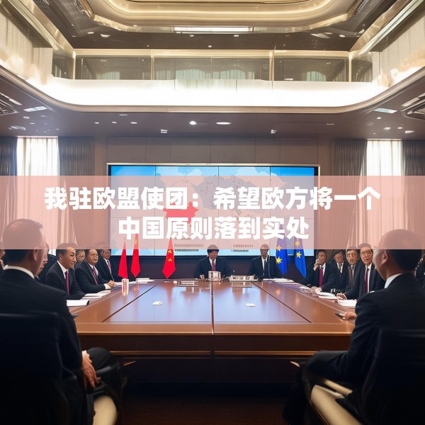 我驻欧盟使团：希望欧方将一个中国原则落到实处
