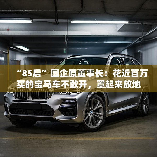 “85后”国企原董事长：花近百万买的宝马车不敢开，罩起来放地下室
