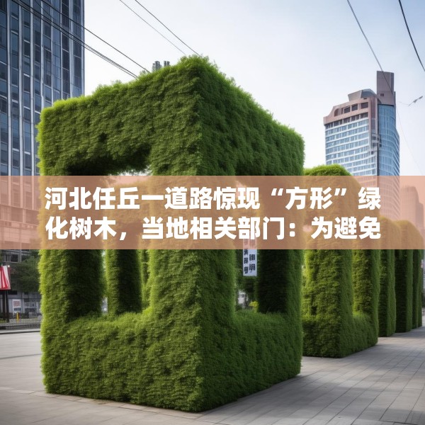 河北任丘一道路惊现“方形”绿化树木，当地相关部门：为避免接触高压电线