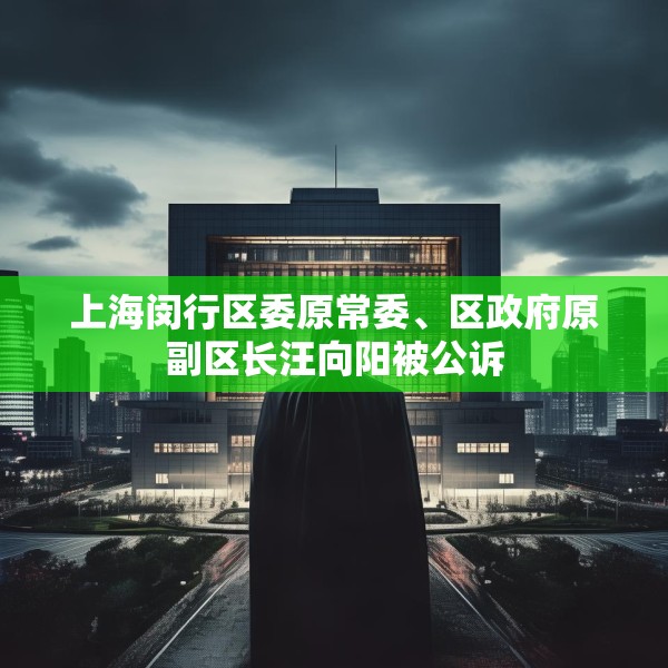 上海闵行区委原常委、区政府原副区长汪向阳被公诉