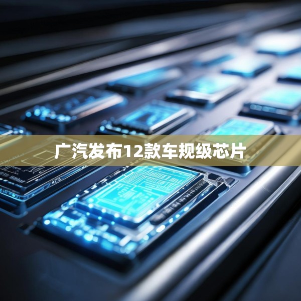 广汽发布12款车规级芯片