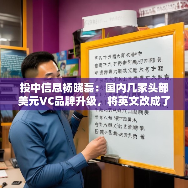 投中信息杨晓磊：国内几家头部美元VC品牌升级，将英文改成了拼音