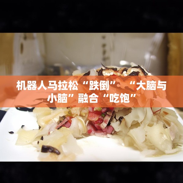 机器人马拉松“跌倒”  “大脑与小脑”融合“吃饱”