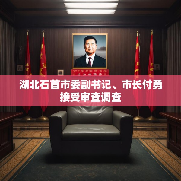 湖北石首市委副书记、市长付勇接受审查调查