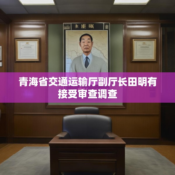 青海省交通运输厅副厅长田明有接受审查调查