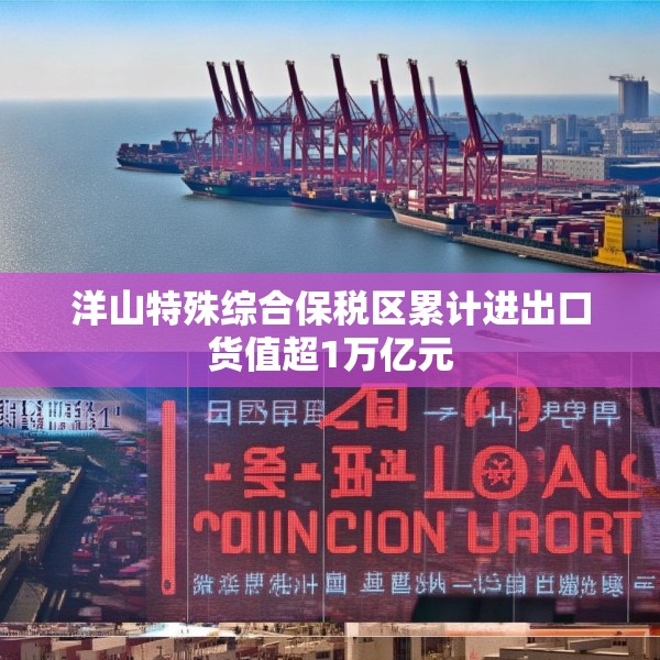 洋山特殊综合保税区累计进出口货值超1万亿元