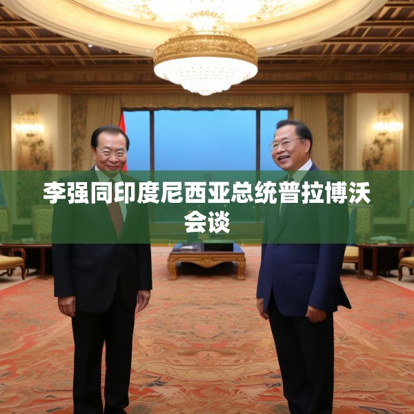 李强同印度尼西亚总统普拉博沃会谈