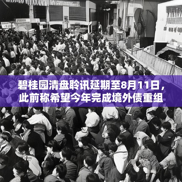 碧桂园清盘聆讯延期至8月11日，此前称希望今年完成境外债重组
