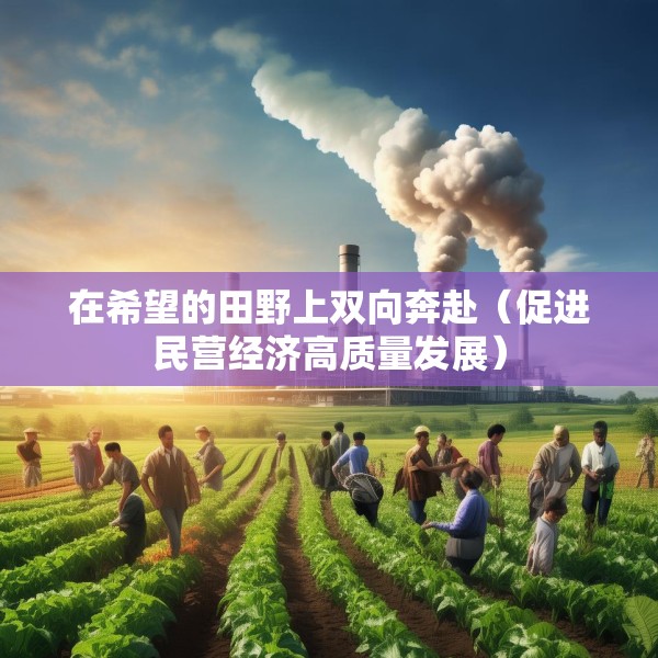 在希望的田野上双向奔赴（促进民营经济高质量发展）