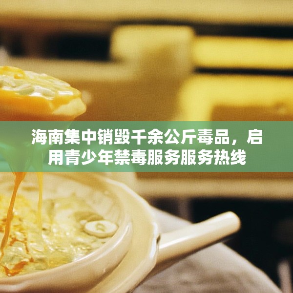 海南集中销毁千余公斤毒品，启用青少年禁毒服务服务热线