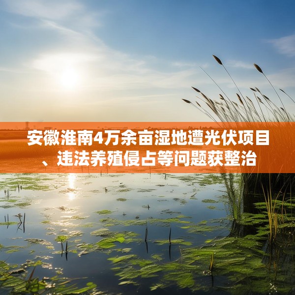 安徽淮南4万余亩湿地遭光伏项目、违法养殖侵占等问题获整治