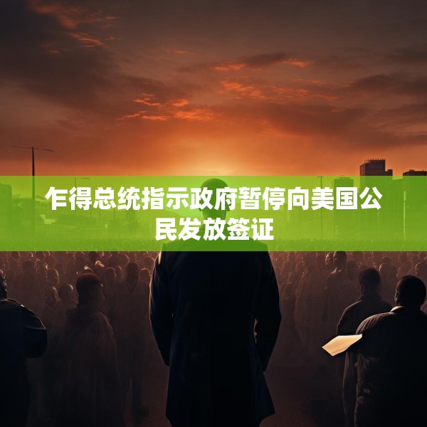 乍得总统指示政府暂停向美国公民发放签证
