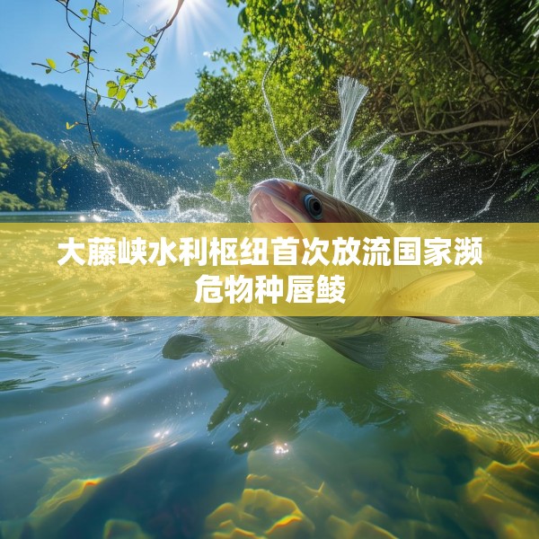 大藤峡水利枢纽首次放流国家濒危物种唇鲮