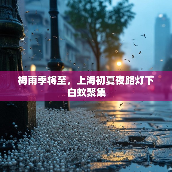 梅雨季将至，上海初夏夜路灯下白蚁聚集
