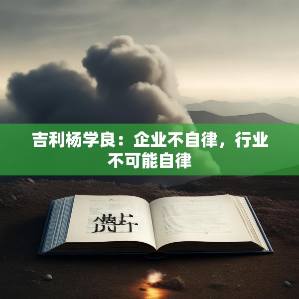 吉利杨学良：企业不自律，行业不可能自律