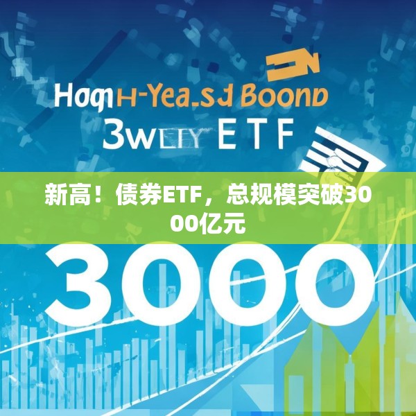 2025年6月8日 第8页