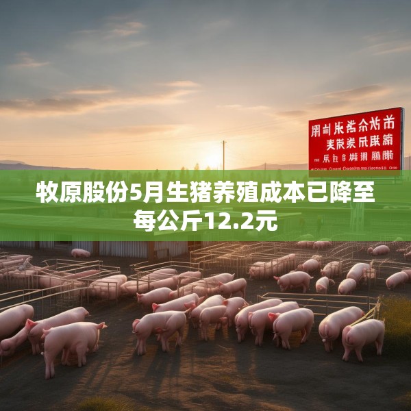 牧原股份5月生猪养殖成本已降至每公斤12.2元