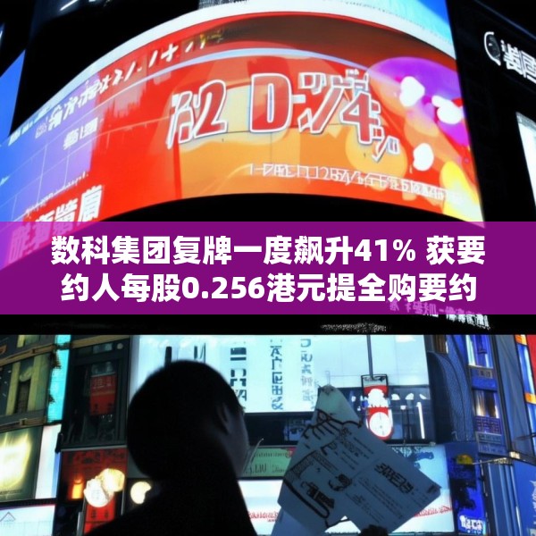 数科集团复牌一度飙升41% 获要约人每股0.256港元提全购要约